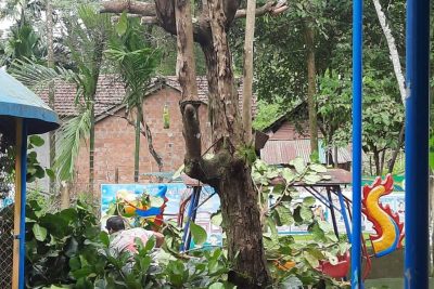 Trường Mầm non Trà Phong với công tác phòng chống bão số 4( NORU)